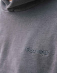 Cotton Fleece Embroidered Hoodie