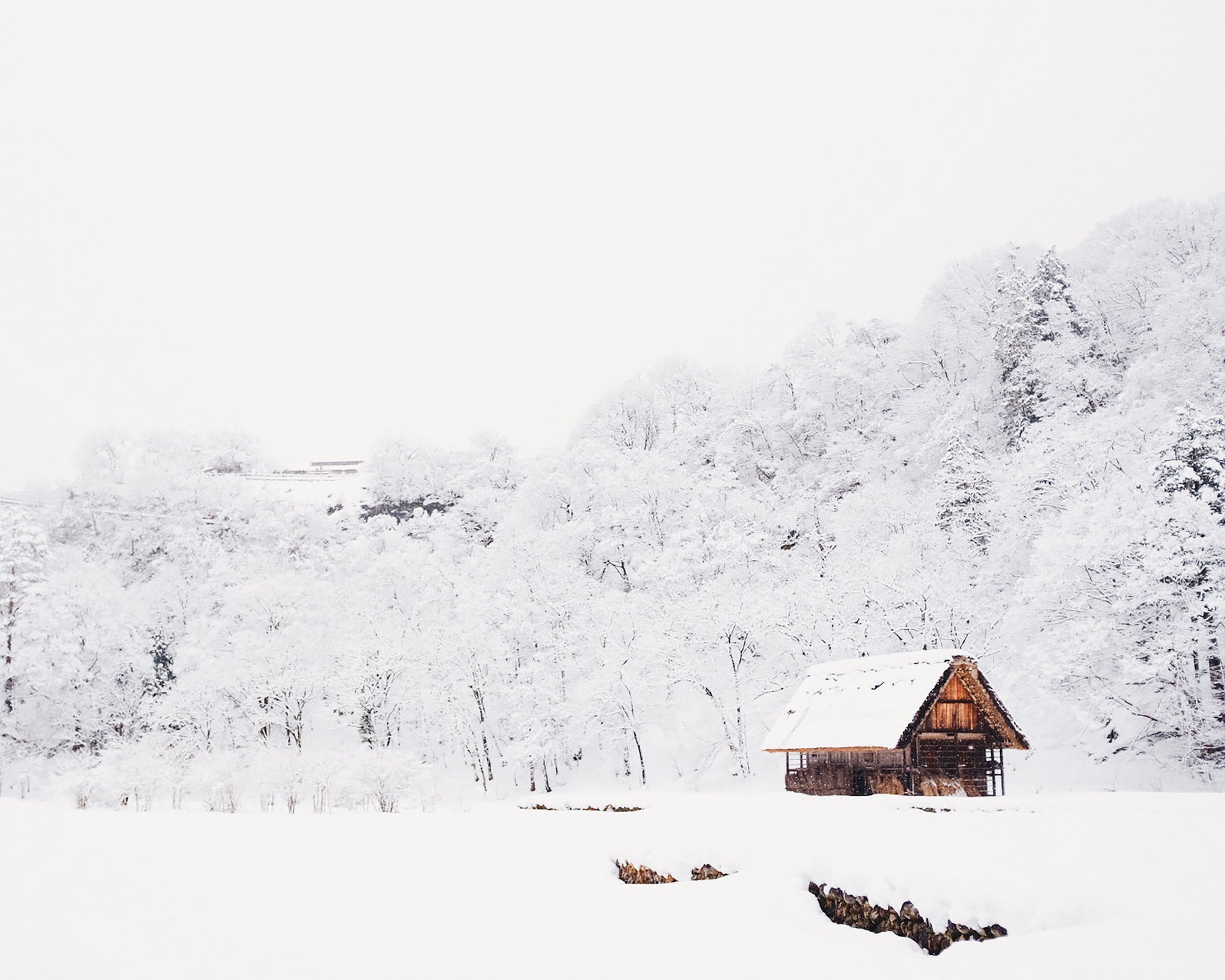 Winter Collection
