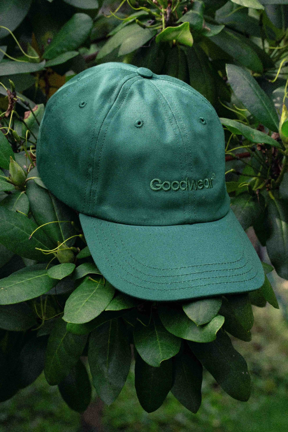 Goodwear Cotton Dad Hat